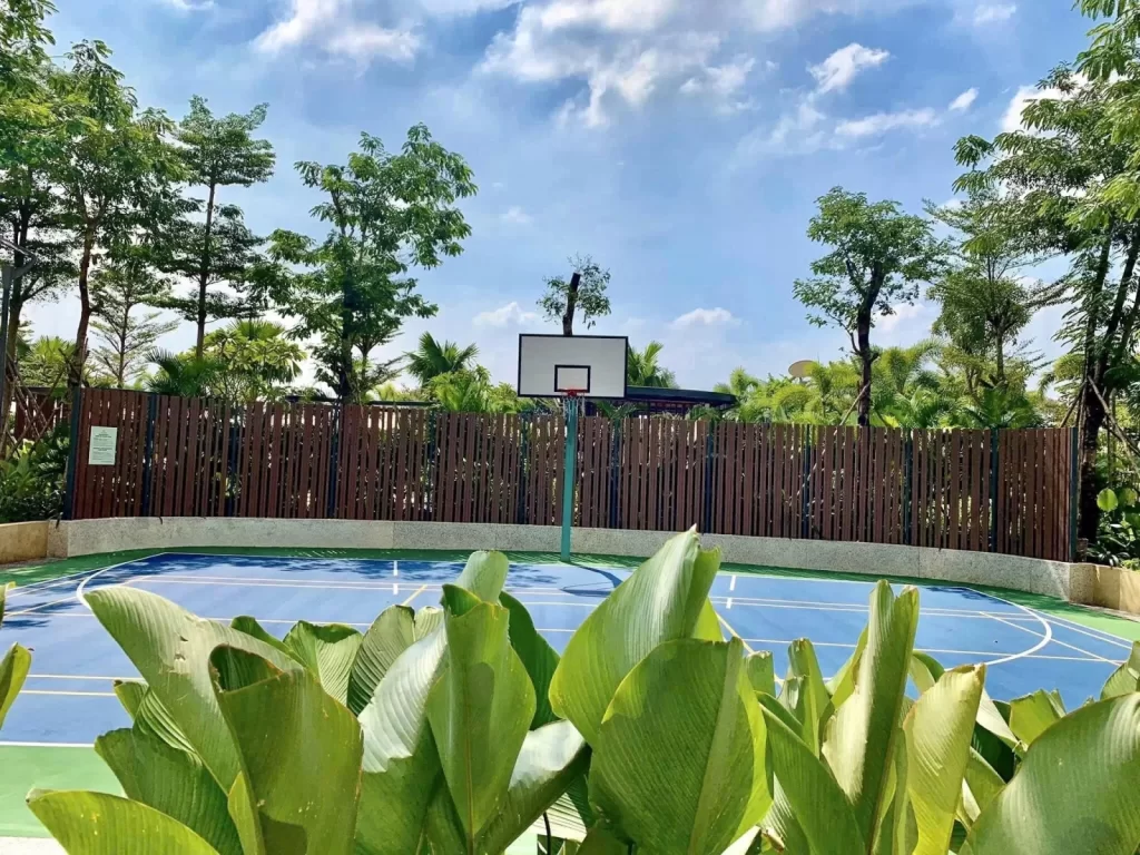 Sân bóng rổ thực tế tại Palm City