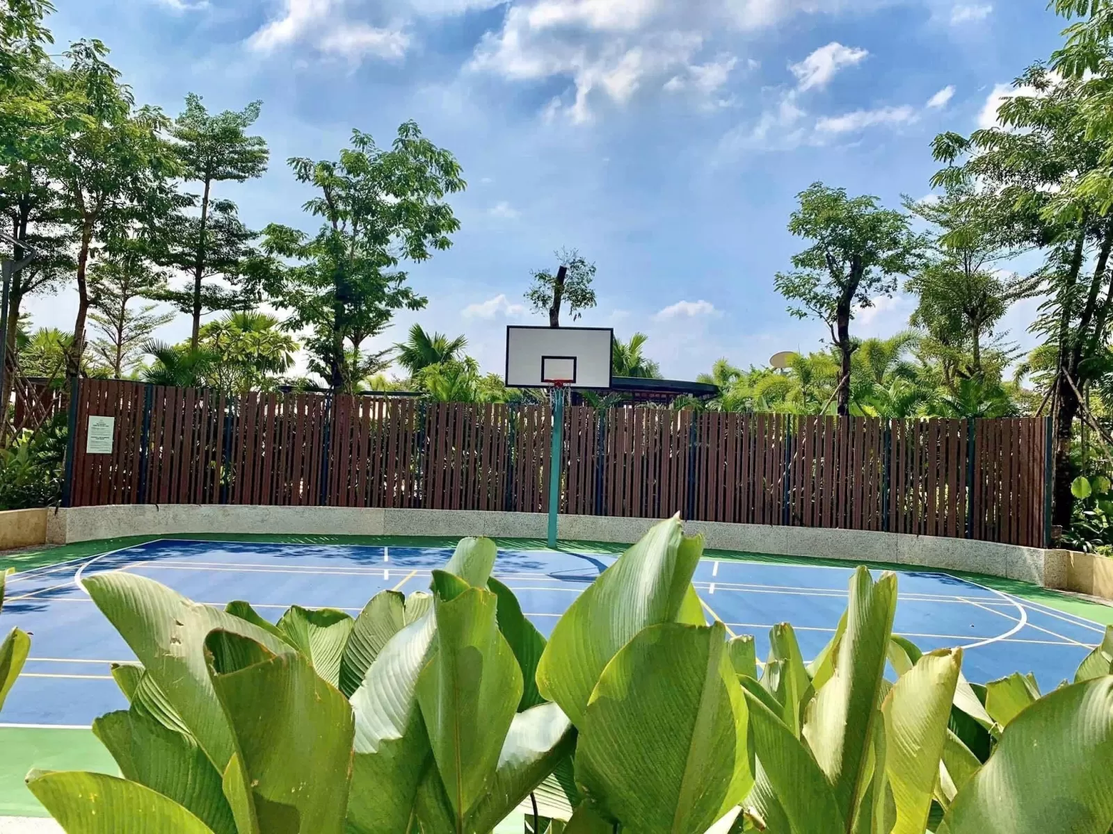 Sân bóng rổ thực tế tại Palm City