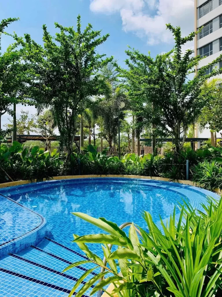 Hồ bơi và cảnh quan thực tế tại Palm City