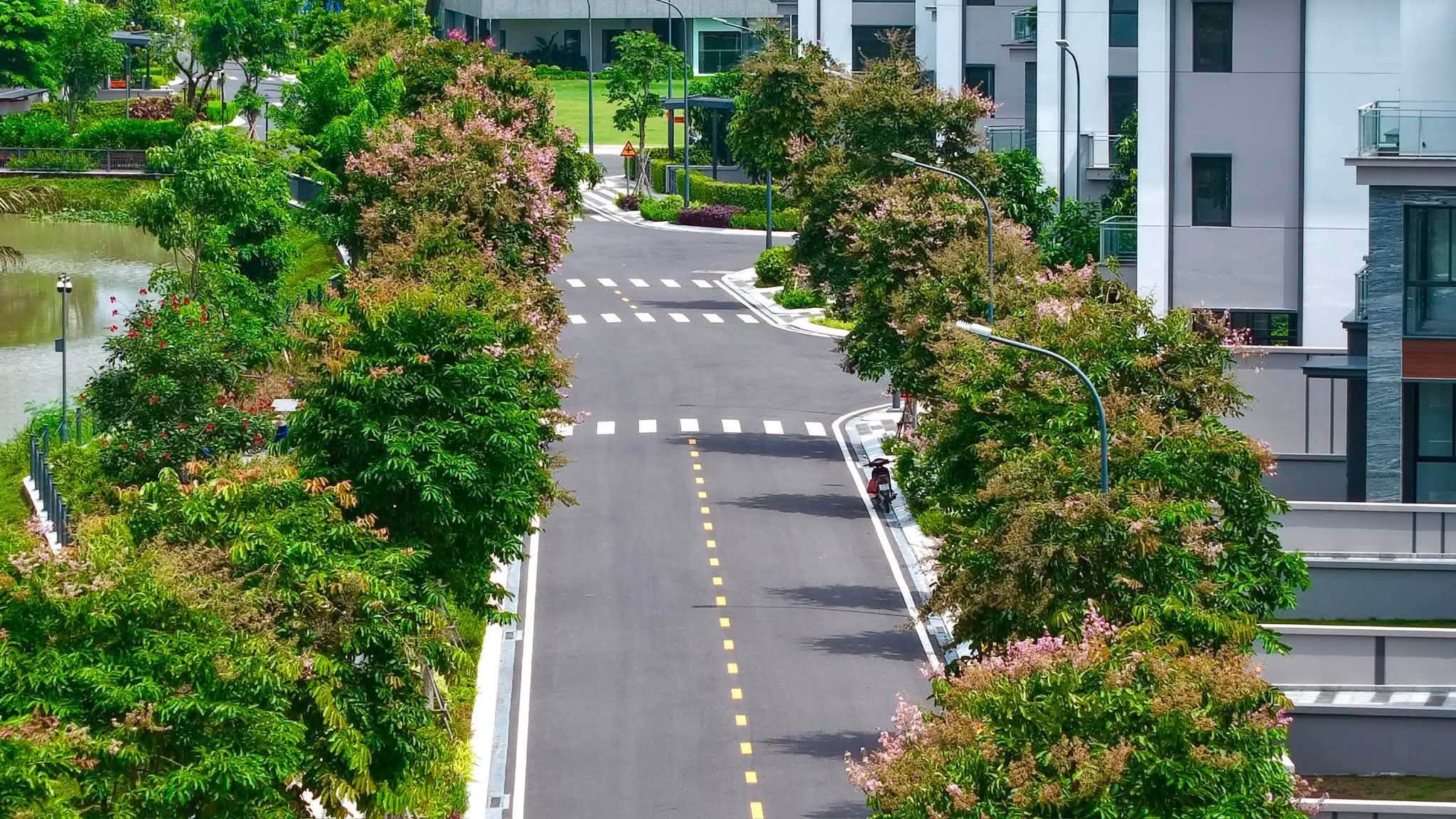 Trục đường nội khu rợp bóng cây xanh kết nối trực tiếp ra công viên ven sông