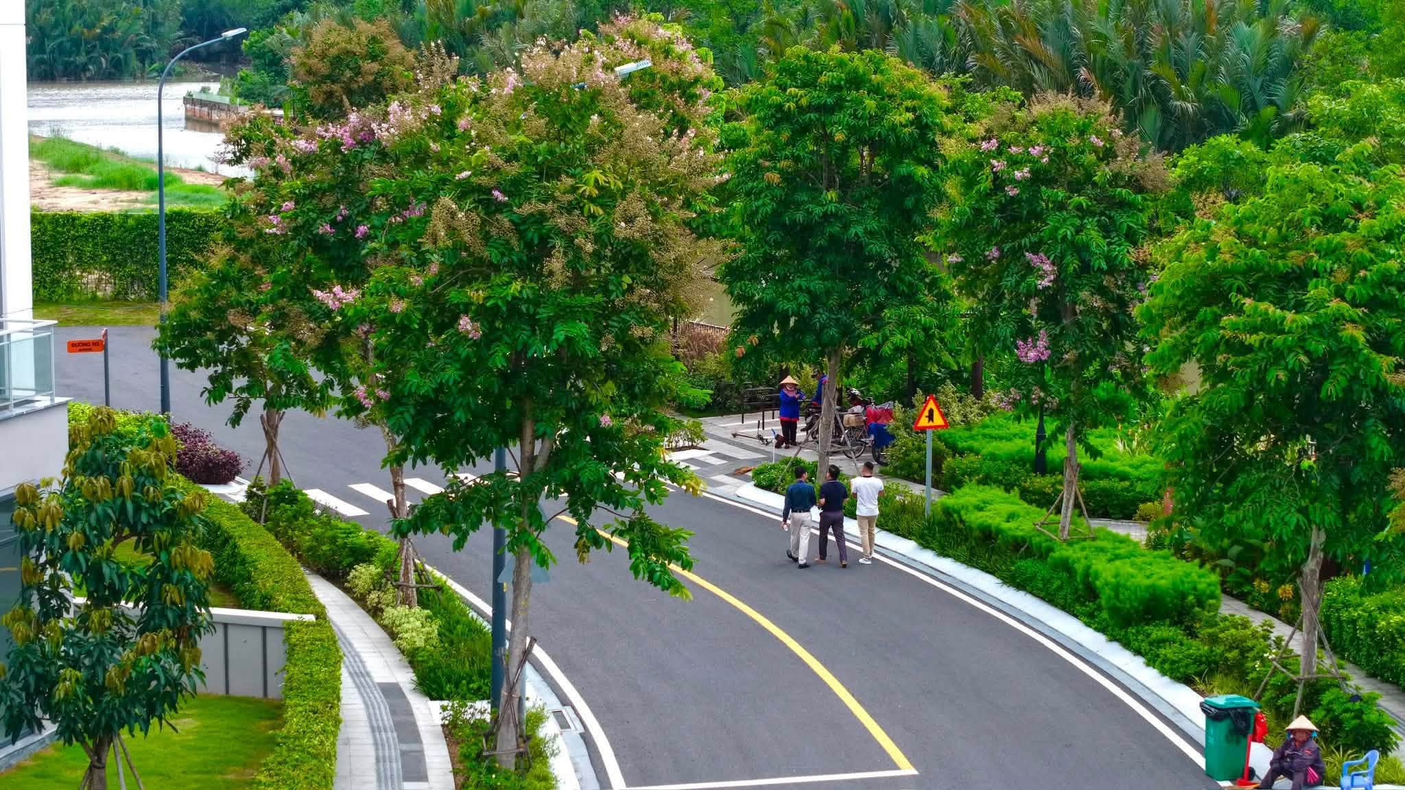 Tuyến đường nội khu rợp bóng hoa bằng lăng tím và cây xanh dọc bờ kênh sinh thái dự án Gladia Heights