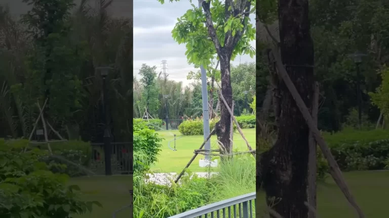 Video thực tế cảnh quan công viên Gladia Heights