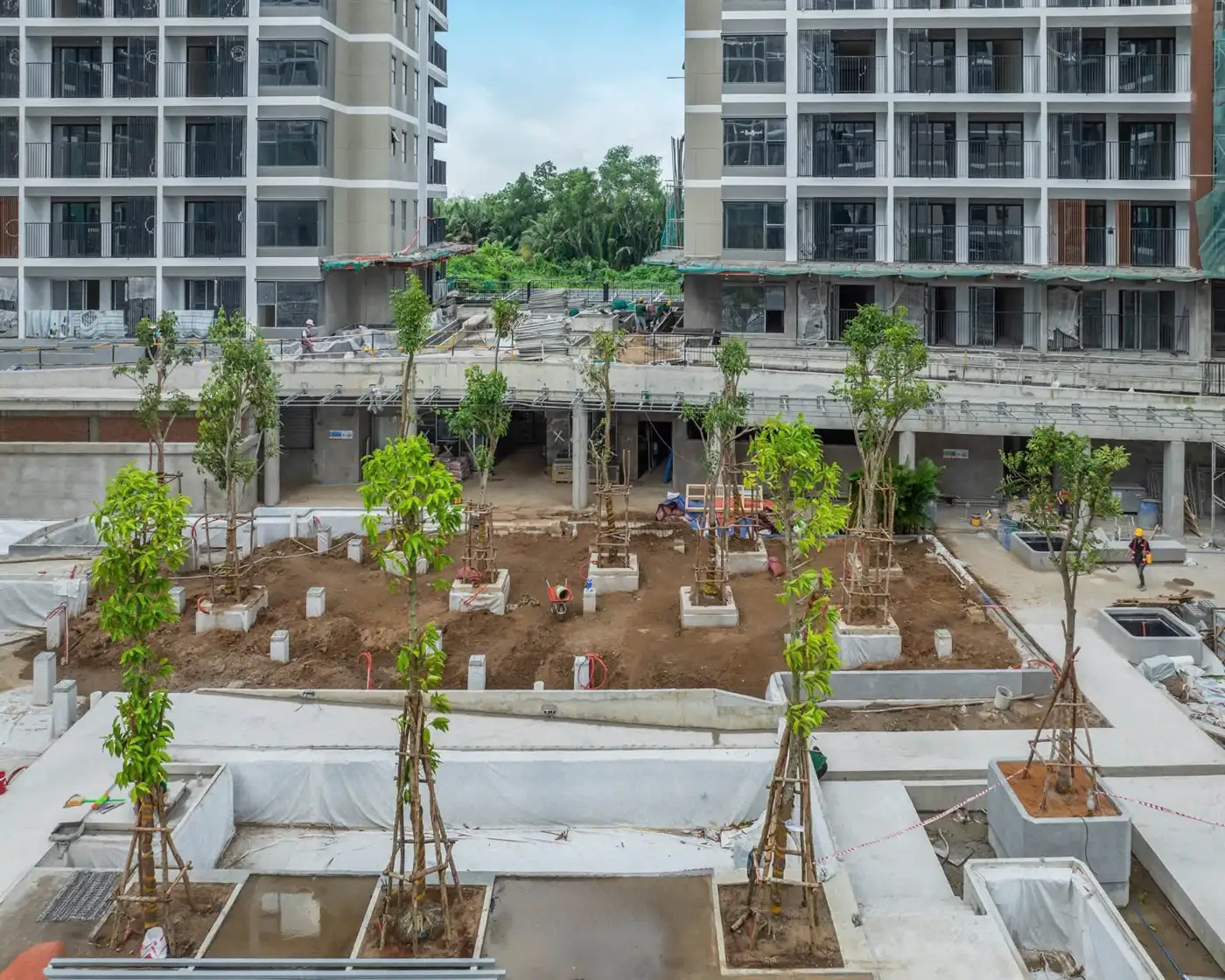 Sân trong Elysian Gamuda Land với hàng cây mới trồng