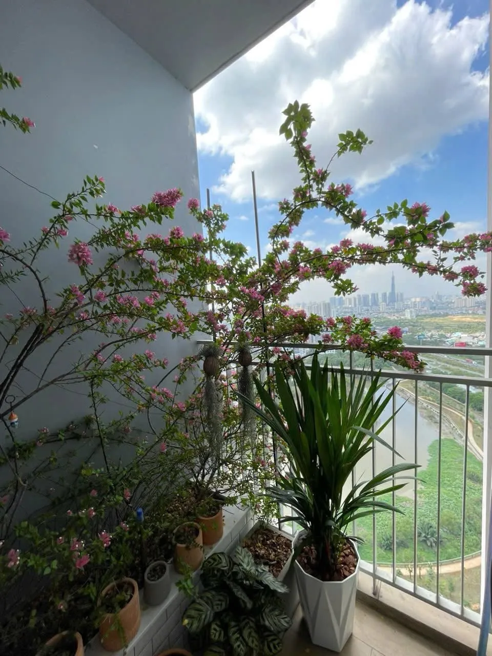Ban công căn góc tầng 34 view sông Giồng căn hộ Palm Heights