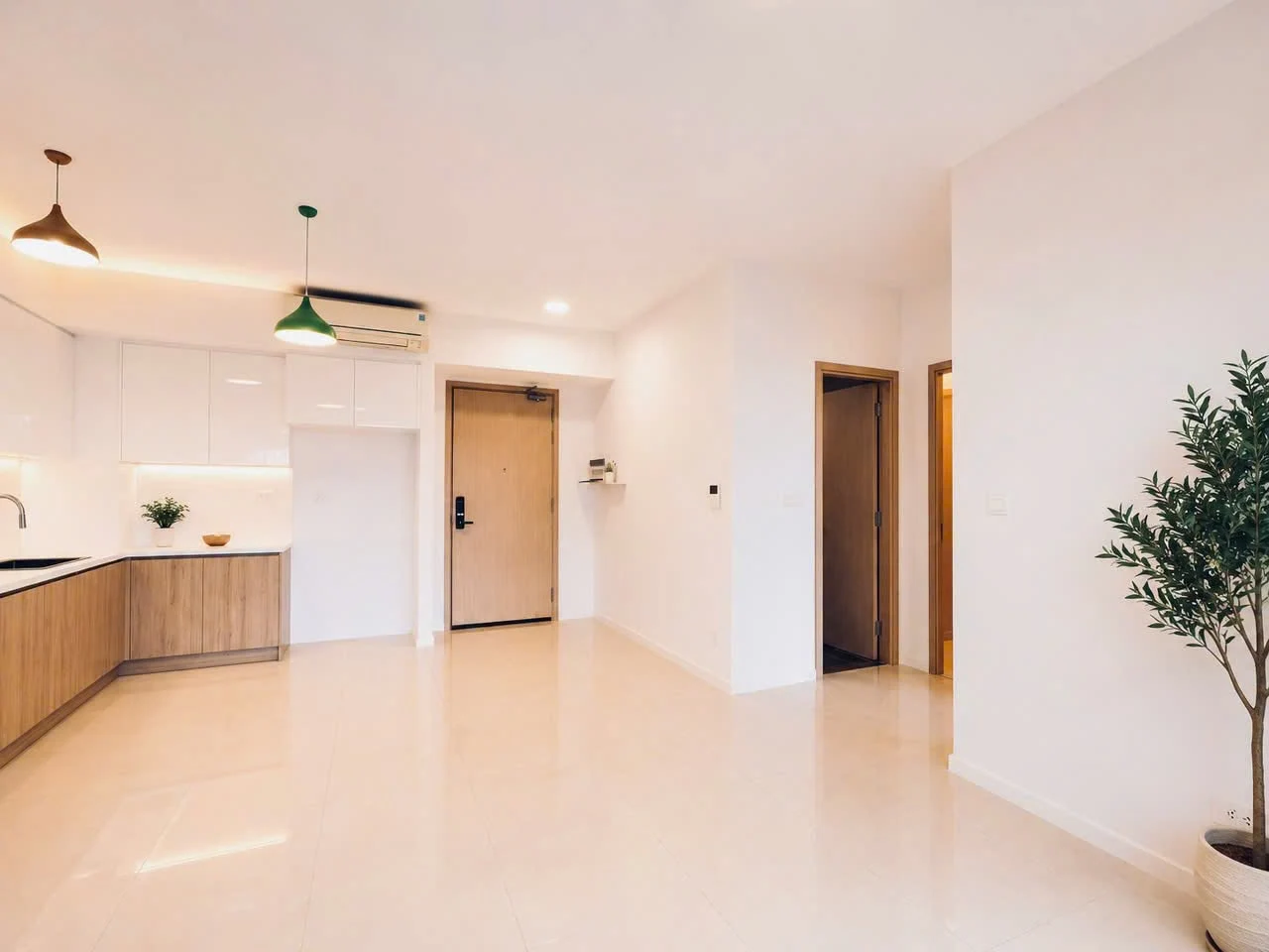 Sảnh vào và bếp mở căn hộ Palm Heights